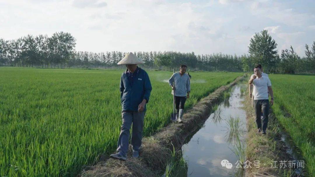 “上场了，该拼了！”全网点赞的“苏超”村支书：左手秧苗，右脚足球